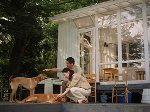 好みの条件に合わせて簡単に検索