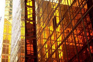 さいたま市を中心に賃貸の仲介等をしている不動産屋