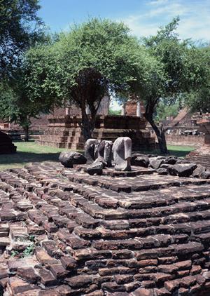 磯子区の外壁塗装で家の価値を高める！信頼できる業者の選び方と成功事例紹介