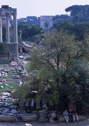 外壁調査の重要性と効果的な調査方法