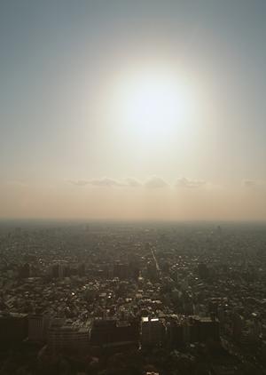 マニアでのマンション投資のサポートをしてくれる会社